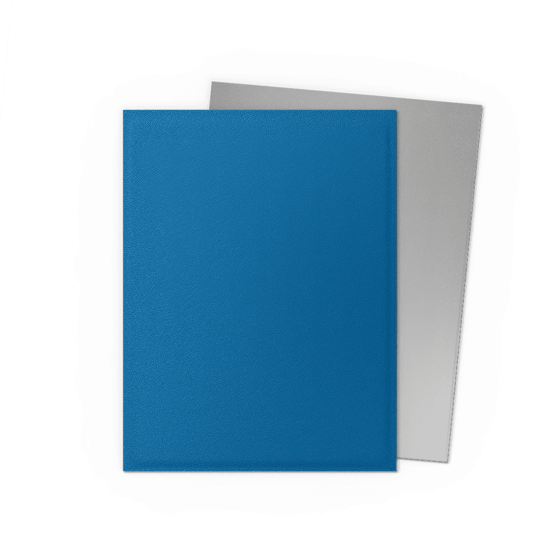 Cobalt & Silver - Matte Dual Sleeves - Standard Size
