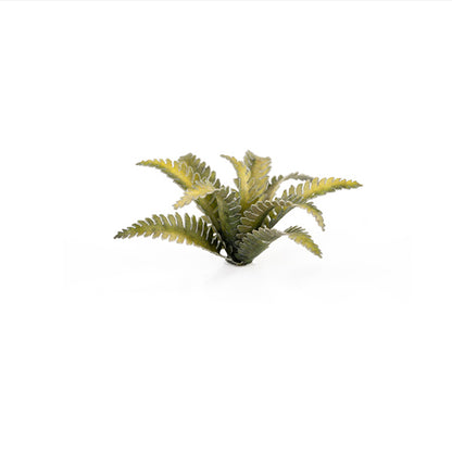 Laser Plants: Deer Fern