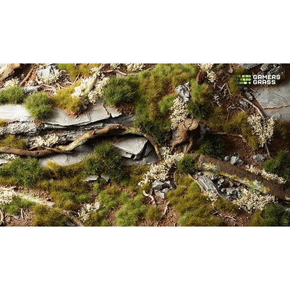 Tufts Starter Box- Green Grass