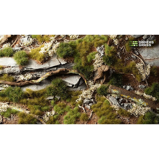 Tufts Starter Box- Green Grass